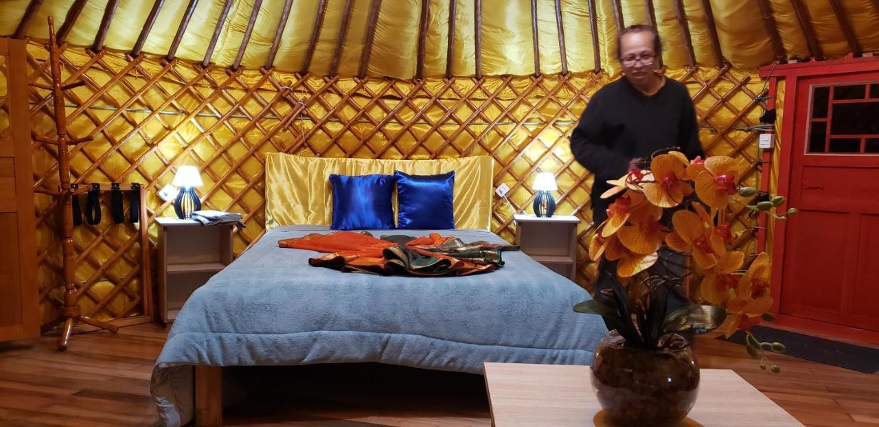 אורוביסי Casa Campo Yurt 3 Aconchego Tenda Mongolica Wifi מראה חיצוני תמונה